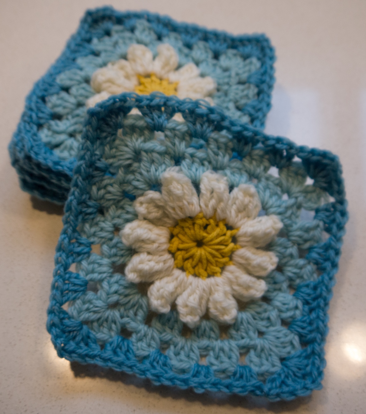 daisy squares