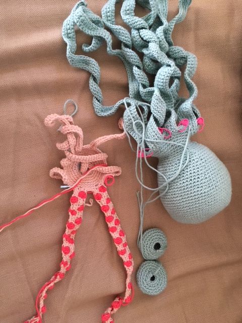 octopus progress report